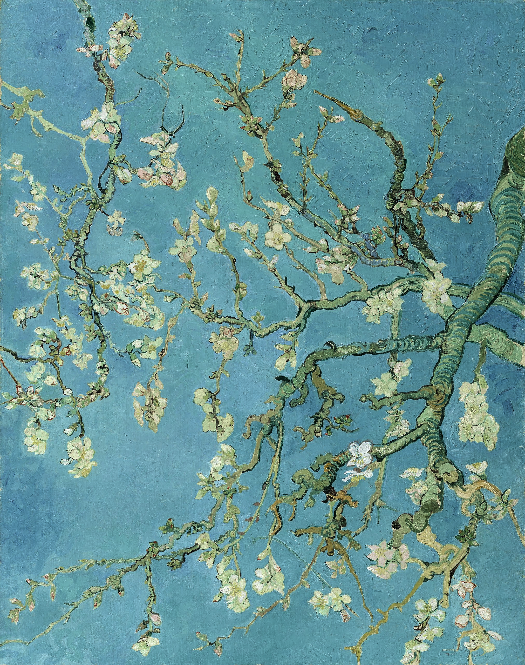 Fundo de Quadro Van Gogh - Amendoeira em flor